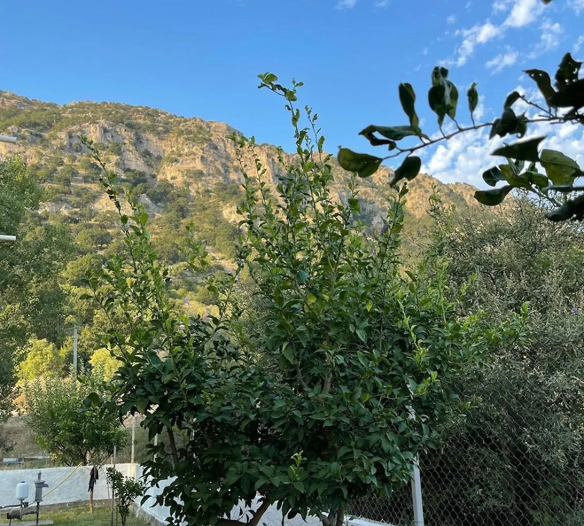 Σπίτι διακοπών Te Shpia Βίλα Baks-Rrjoll